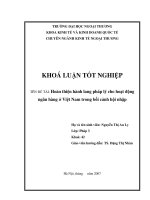 Hoàn thiện hành lang pháp lý cho hoạt động ngân hàng ở việt nam trong bối cảnh hội nhập