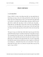 một số giải pháp nhằm hoàn thiện công tác xác định giá trong hợp đồng cung cấp công nghệ ở công ty mitec