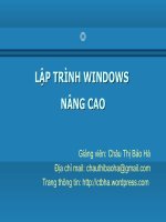 Lập trình Windows nâng cao