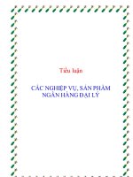 các nghiệp vụ, sản phẩm ngân hàng đại lý