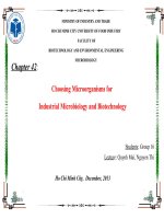 choosing microorganisms for industrial microbiology