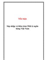 sáp nhập và thâu tóm (m&a) ngân hàng việt nam