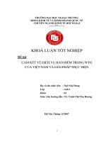 Cam kết về dịch vụ bảo hiểm trong WTO của việt nam và giải pháp thực hiện