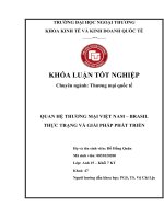 Quan hệ thương mại Việt Nam – Brasil: : Thực trạng và triển vọng phát triển