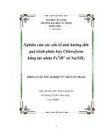 nghiên cứu các yếu tố ảnh hưởng đến quá trình phân hủy chloroform bằng tác nhân fe0h+ và nanh3