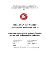 Hoàn thiện chính sách sử dụng nguồn nhân lực sau xuất khẩu lao động ở Việt Nam