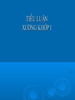 XQ Gãy Xương Cẳng Chân