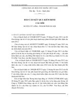 BÁO cáo kết QUẢ KIỂM ĐỊNH cầu đôi