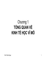 Bài giảng Kinh tế học vĩ mô: Chương 1 Tổng quan về kinh tế học vĩ mô- Trần Thị Minh Ngọc