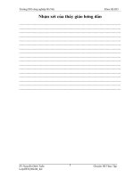 Một số giải pháp đẩy mạnh hoạt động tiêu thụ sản phẩm của công ty kinh doanh bất động sản Viglacera.