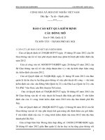 báo cáo kết quả kiểm định cầu đồng mô