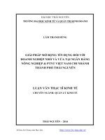 Giải pháp mở rộng tín dụng đối với doanh nghiệp nhỏ và vừa tại Ngân hàng Nông nghiệp và Phát triển Nông thôn Việt Nam chi nhánh thành phố Thái Nguyên