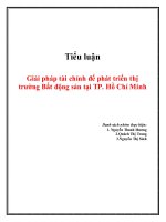 Giải pháp tài chính để phát triển thị trường bất động sản tại TP  hồ chí minh