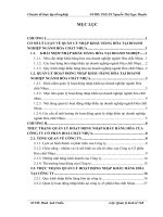 quản lý hoạt động nhập khẩu hàng hóa tại công ty cổ phần hóa chất nhựa (PLASCHEM)