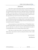 Khóa luận tốt nghiệp: Giải pháp nâng cao hiệu quả hoạt động của nghiệp vụ môi giới của công ty chứng khoán Ngân hàng nông nghiệp và phát triển nông thôn Việt Nam (AGRISECO)  Chi nhánh Tp. Hồ Chí Minh  ĐH Kinh tế TP. HCM