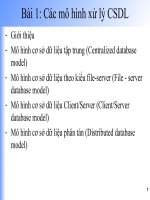 Bài 1 giới thiệu các mô hình xử lý cơ sở dữ liệu