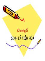 bài giảng sinh lý người và động vật chương 5 sinh lý tiêu hóa