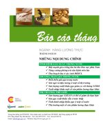 Báo cáo lương thực tháng 4 năm 2010