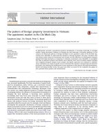 Mô hình đầu tư bất động sản nước ngoài tại Việt Nam: Thị trường căn hộ tại Thành phố Hồ Chí Minh