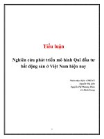 Nghiên cứu phát triển mô hình quĩ đầu tư bất động sản ở việt nam hiện nay