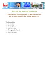 quá trình xử lý cặn bằng hydro sự phát triển mới của xúc tác trong quá trình tách kim loại bằng hydro