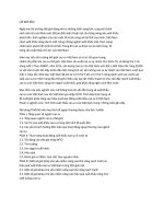 bài tập lớn xuất nhập khẩu cao su