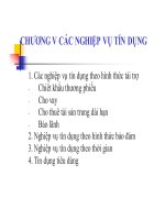 Bài giảng Ngân hàng thương mại: Chương 5  Các nghiệp vụ tín dụng-Trần Phước Huy