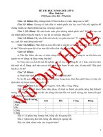 đề thi học sinh giỏi lớp 8 và đáp án tham khảo số 01