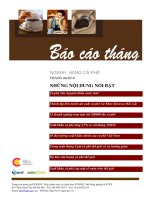 Báo cáo cà phê tháng 4 năm 2010