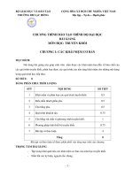 chương trình đào tạo trình độ đại học bài giảng môn học truyền khối