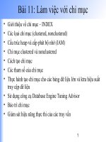 Bài 11 làm việc với chỉ mục index
