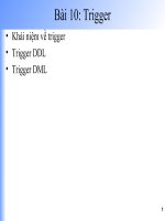 Bài 10 trigger trong SQL và ứng dụng của triger