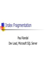 Bài 11 0 làm việc với chỉ mục