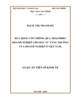 Huy động vốn thông qua trái phiếu doanh nghiệp cho đầu tư tăng trưởng của doanh nghiệp ở Việt Nam