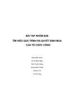 TÌM HIỂU QUÁ TRÌNH RA QUYẾT ĐỊNH MUA của tổ CHỨC CÔNG