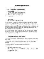 đề cương pháp luật kinh tế