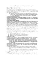 cơ sở lý luận và hoạt động kinh doanh tín dụng