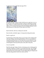 Ý nghĩa Ngày sinh của Bảo Bình