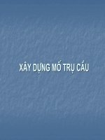 xây dựng mố trụ cầu