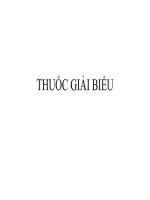 Ảnh Thuốc Đông Dược - THUỐC GIẢI BIỂU
