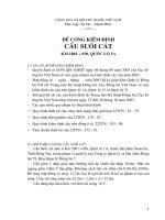 đề cương kiểm định cầu suối cát