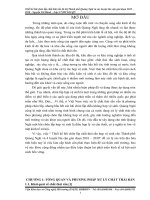 Thiết kế bãi chôn lấp chất thải rắn đô thị thành phố Quảng Ngãi và các huyện lân cận giai đoạn 2010 – 2030