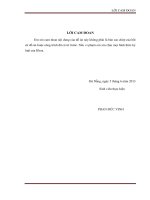 định tuyến pegasis trong mạng cảm biến không dây