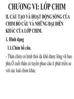 Bài giảng điện tử môn sinh học: lớp chim ppt
