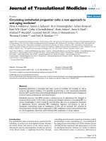 báo cáo hóa học: