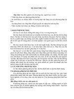 DỰ BÁO NHU CẦU & TỒN KHO pot