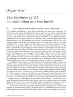 GEOGRAPHIC INFORMATION: Value, Pricing, Production, and Consumption - Chapter 3 docx