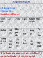 Bài giảng điện tử môn sinh học: đặc điểm chung của chim pdf