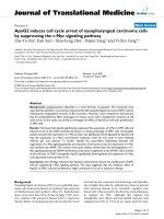 báo cáo hóa học: