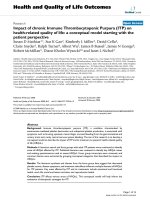 báo cáo hóa học: 